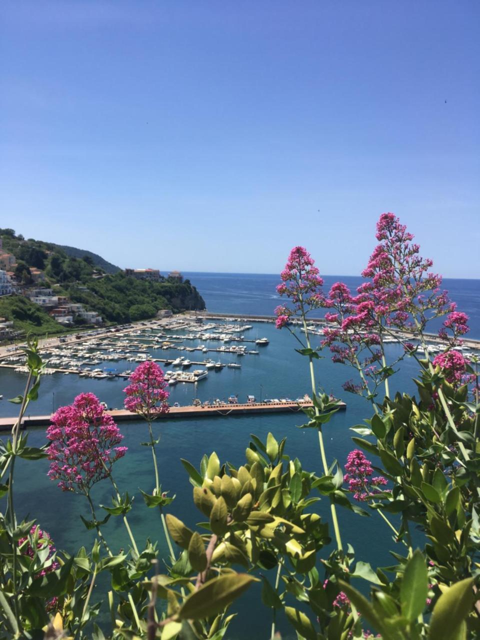 Cor A Cor Suite Agropoli Dış mekan fotoğraf